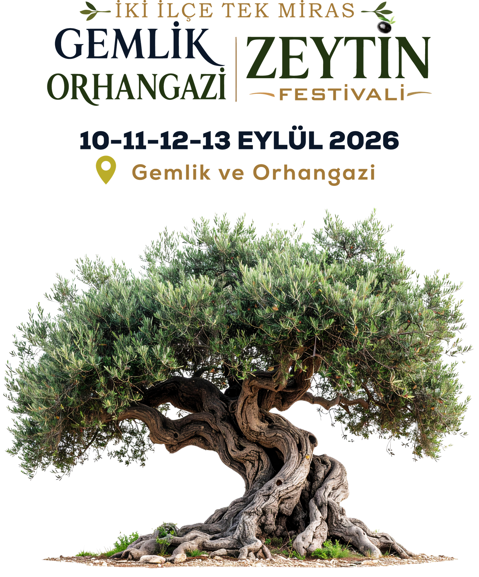 Uluslararası Zeytin Festivali